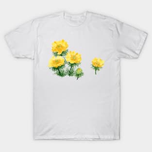 February 26th birthday flower T-Shirt